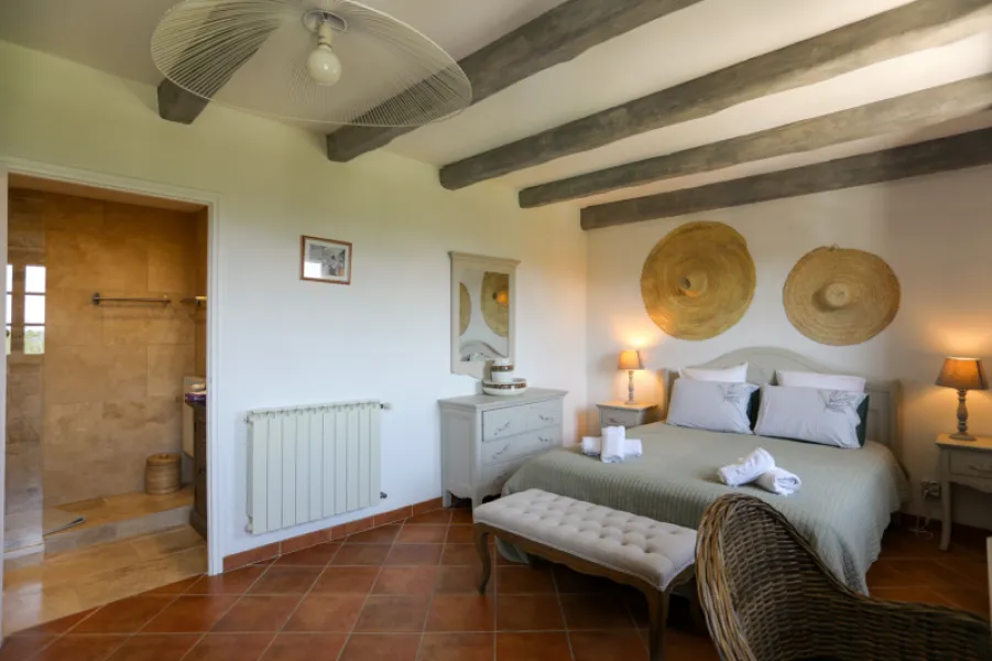 Demeure de prestige Murs 16 pièces avec dépendance et piscine chauffée