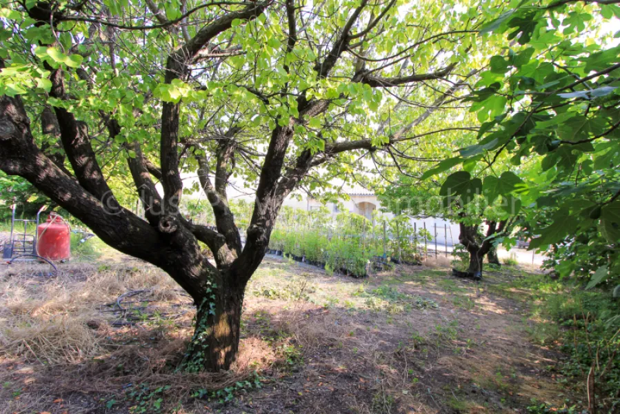 Caromb plot of land, 861 m2