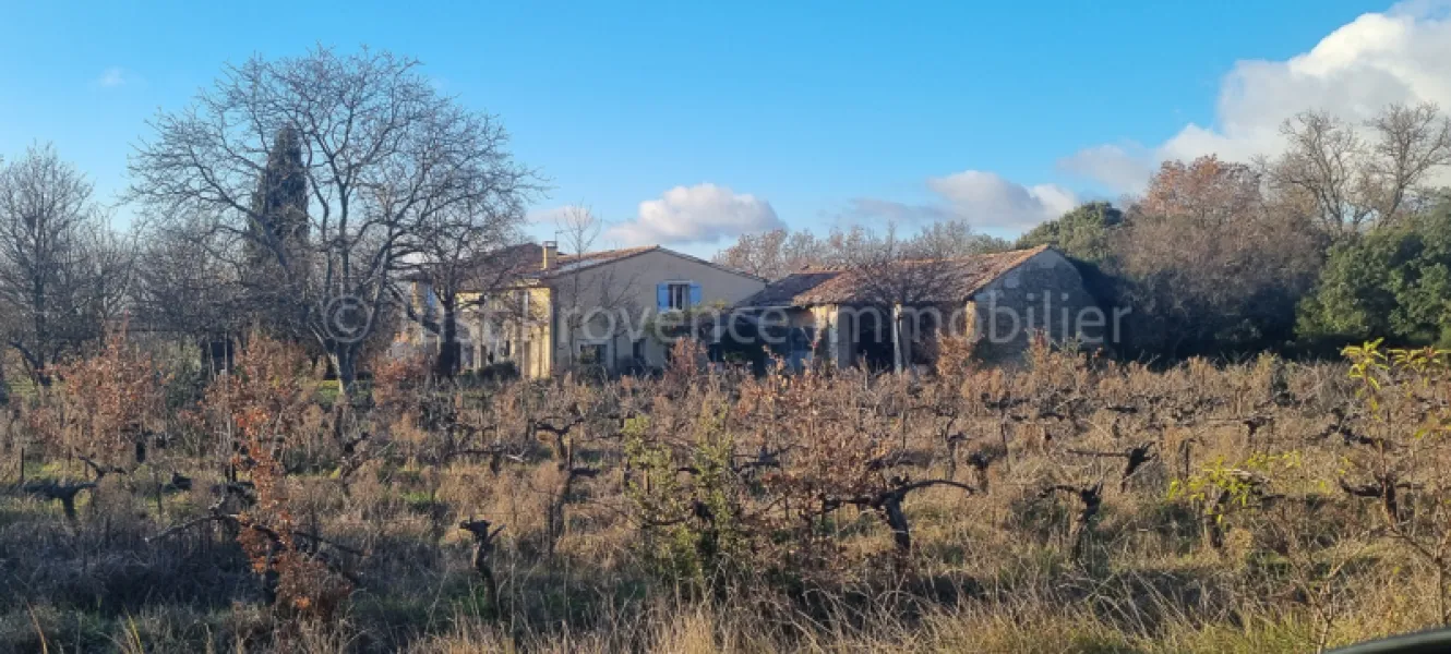 Bedoin Mas, 8 rooms on 10484 sqm of land