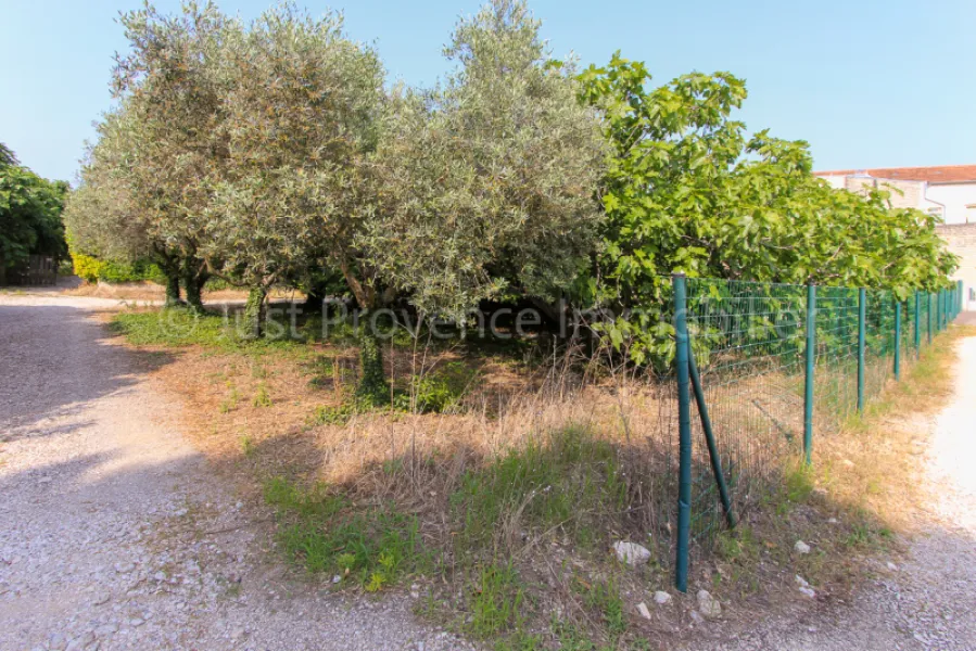 Caromb plot of land, 861 m2